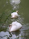 shpaakova Altpins Profile Picture