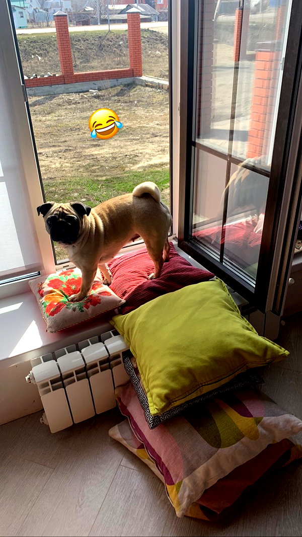 nyiityam instagram image archive image