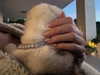 kyliejenner Altpins Profile Picture