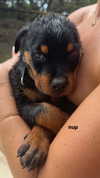 olivia.mathers Altpins Profile Picture