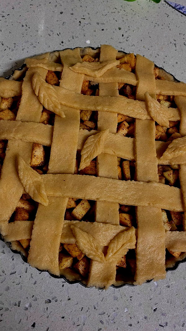 shanidahan7 shanidahan7 archive image