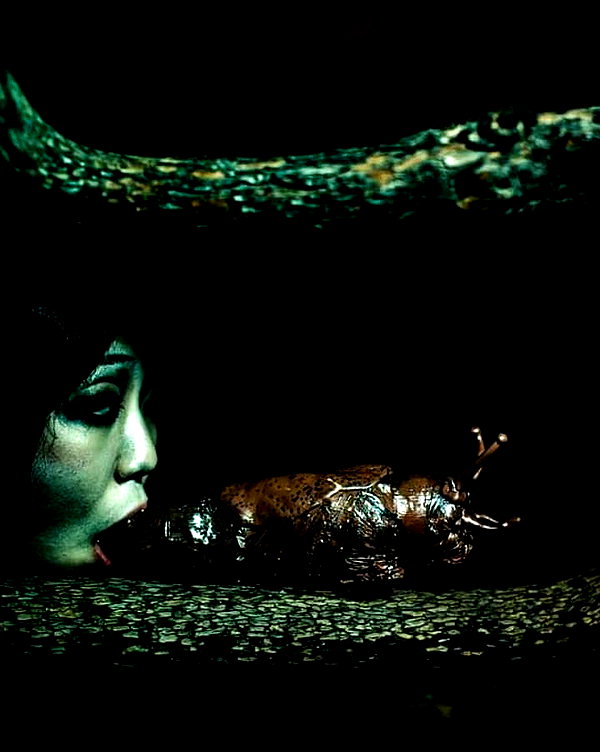 muze instagram image archive image
