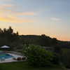 shira_adar_ Altpins Profile Picture