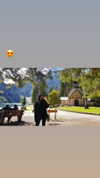 nicole.shpo Altpins Profile Picture