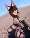 dysphoriuh Altpins Profile Picture