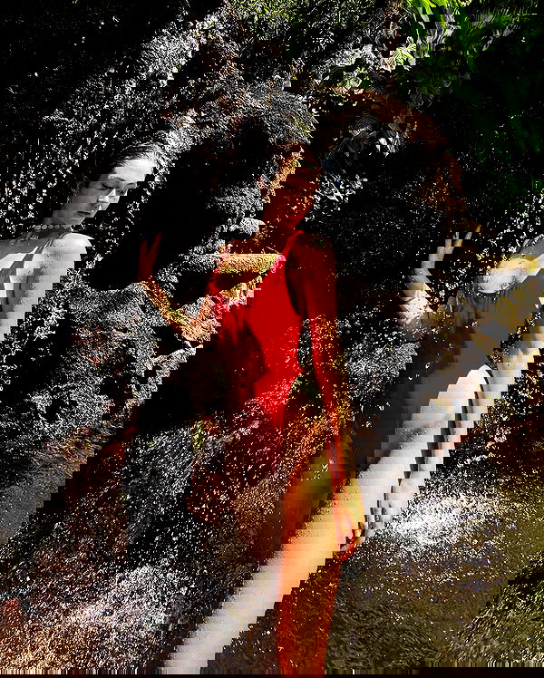 taylor.creeden taylor.creeden archive image