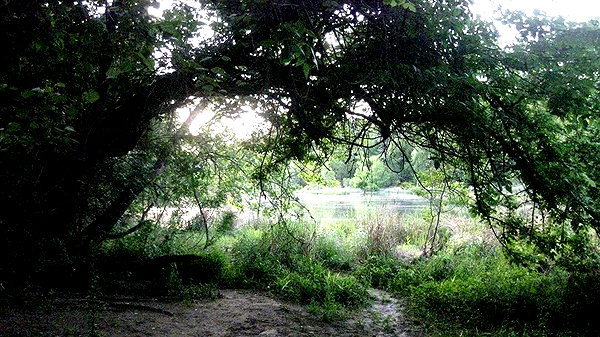 lolontlia instagram image archive image
