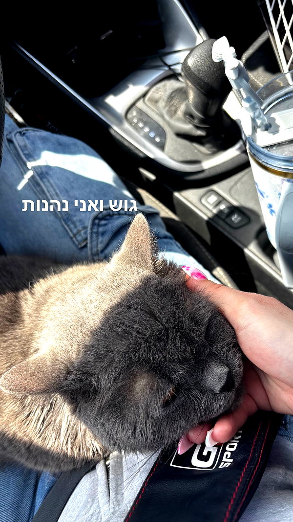 bbyerikss instagram image archive image