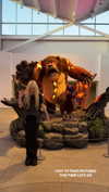 saekkico Altpins Profile Picture