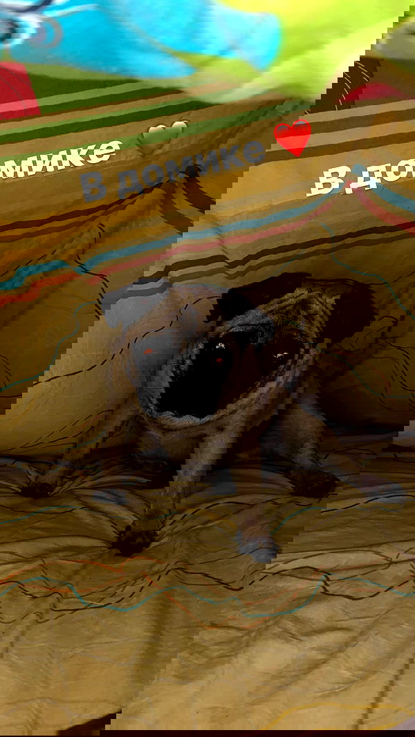 nyityam nyityam archive image