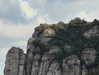 avestanova Altpins Profile Picture
