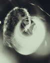 cannonstheband Altpins Profile Picture