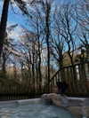 mollieruck Altpins Profile Picture
