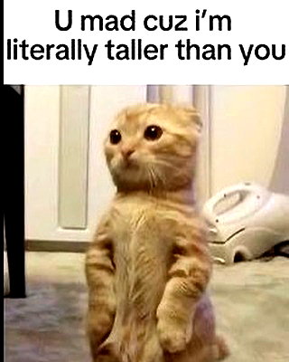 milkiwifey instagram image archive image