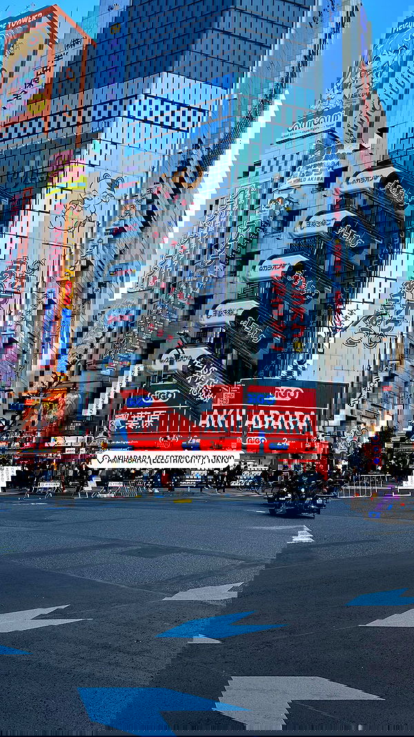 taylor.creeden taylor.creeden archive image