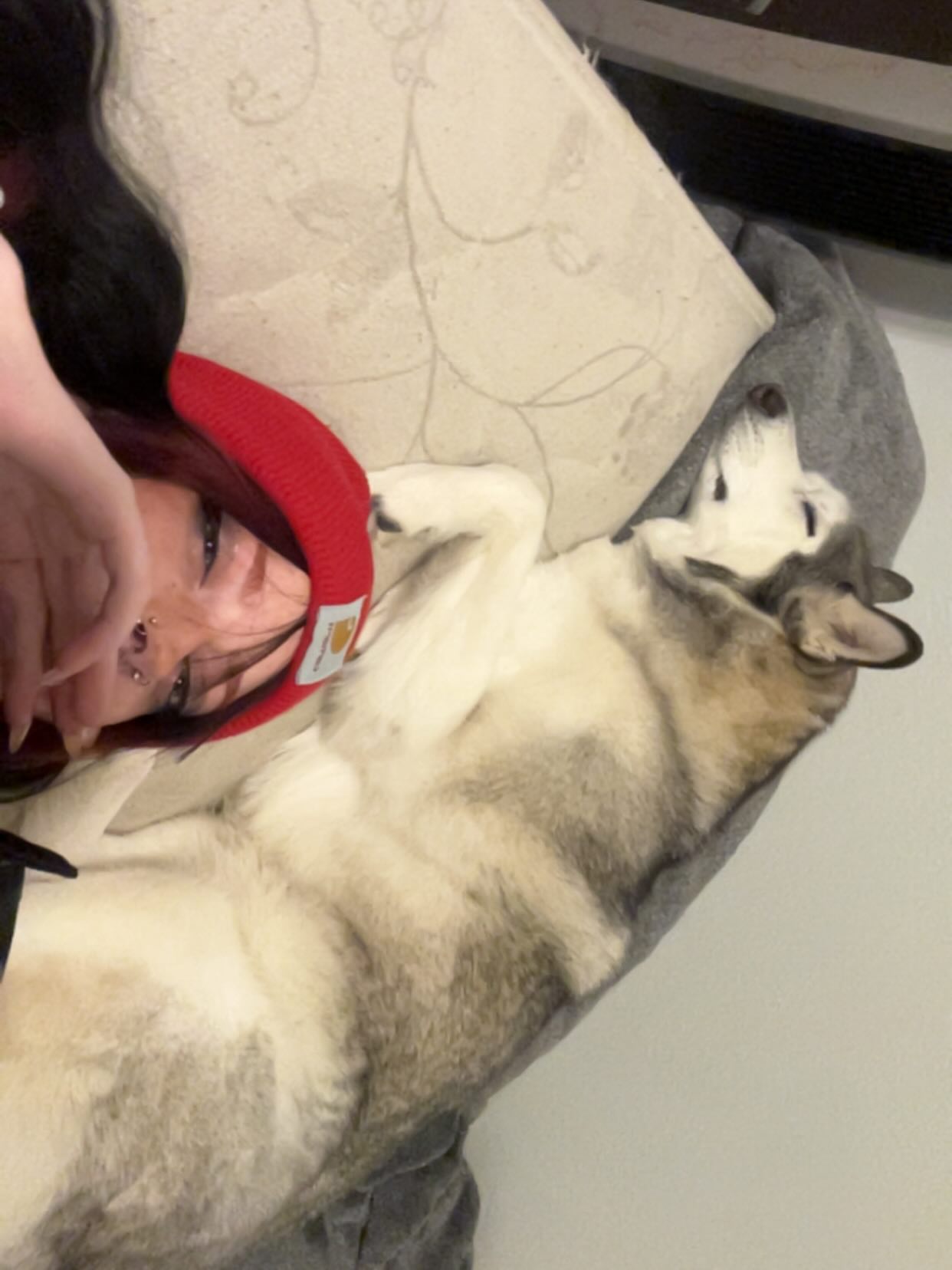 _animechika_ instagram image archive image