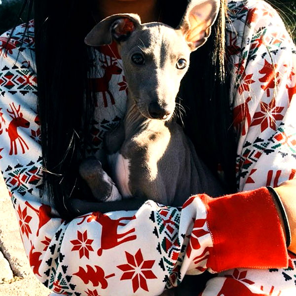 kyliejenner instagram image archive image
