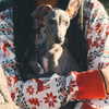 kyliejenner Altpins Profile Picture