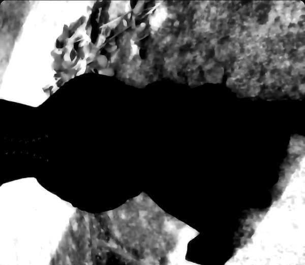 burnnherr burnnherr archive image