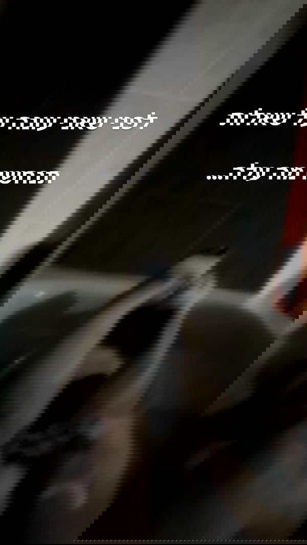 onlmeow onlmeow archive image