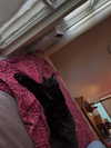 lizardbabychloe Altpins Profile Picture