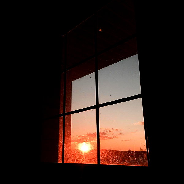 hallucineon instagram image archive image