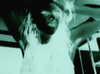 bugz4brainz Altpins Profile Picture