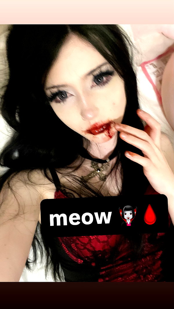 meowwmaxxer archive image