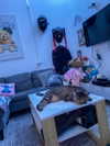 shanidahan7 Altpins Profile Picture