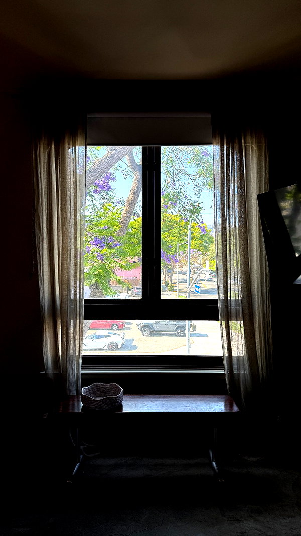 daxbin instagram image archive image