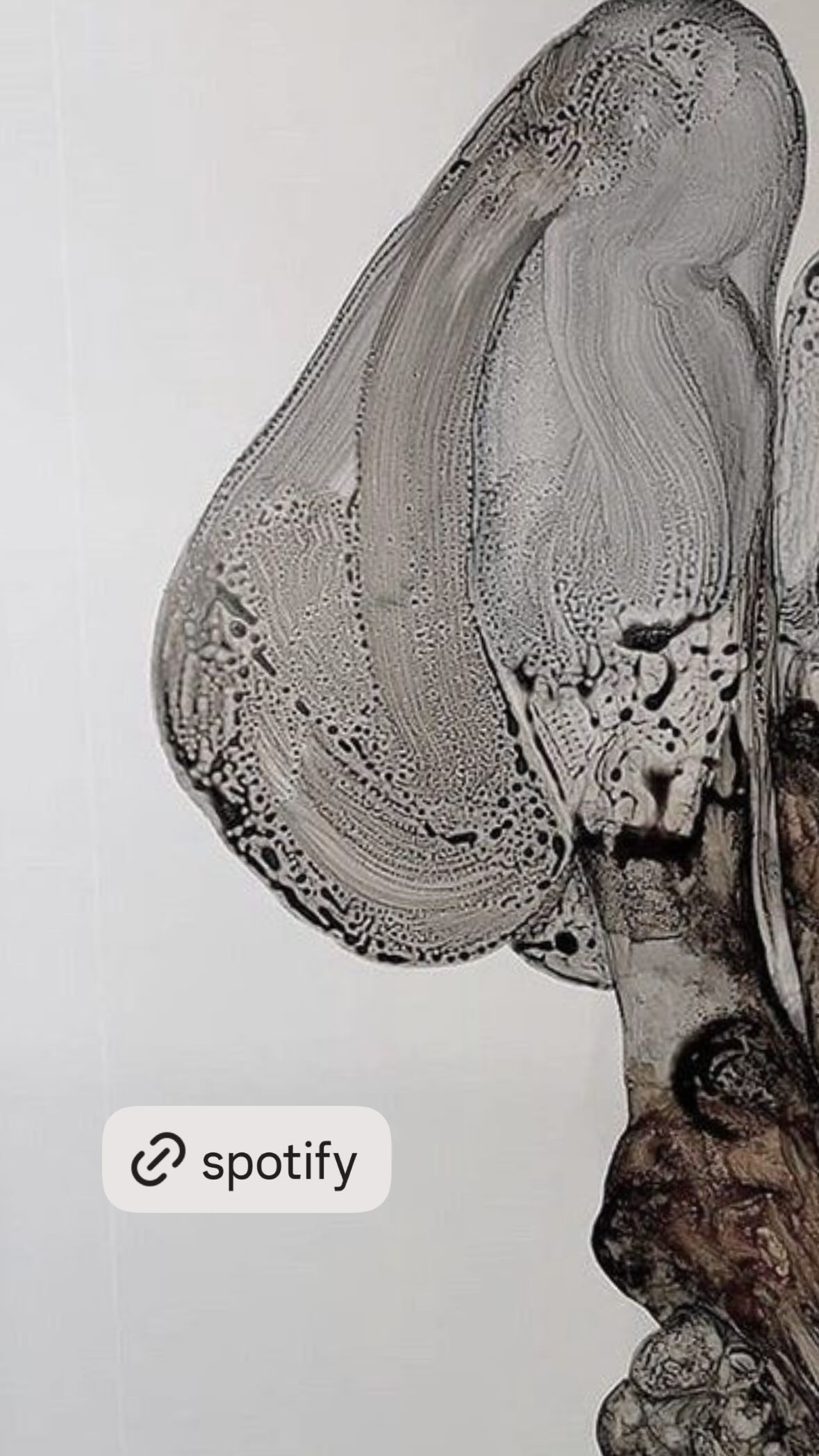 xeiyza instagram image archive image