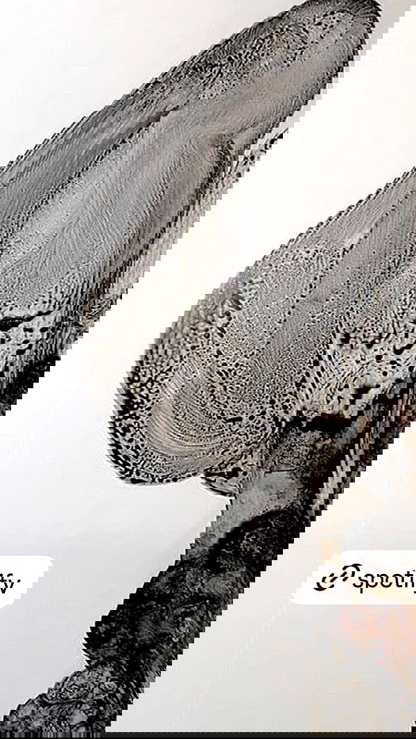 xeiyza image ~ Altpins