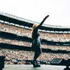 avrillavigne Altpins Profile Picture