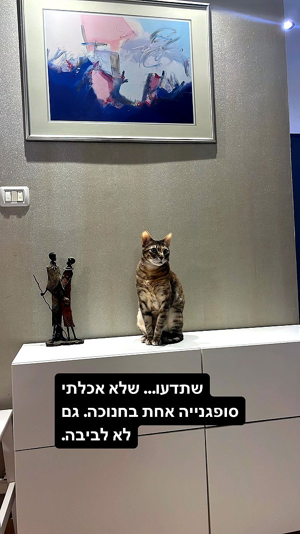Archived image from @notchicore on Instagram