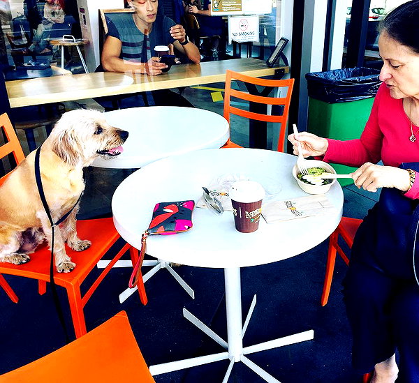 alexandradaddario instagram image archive image