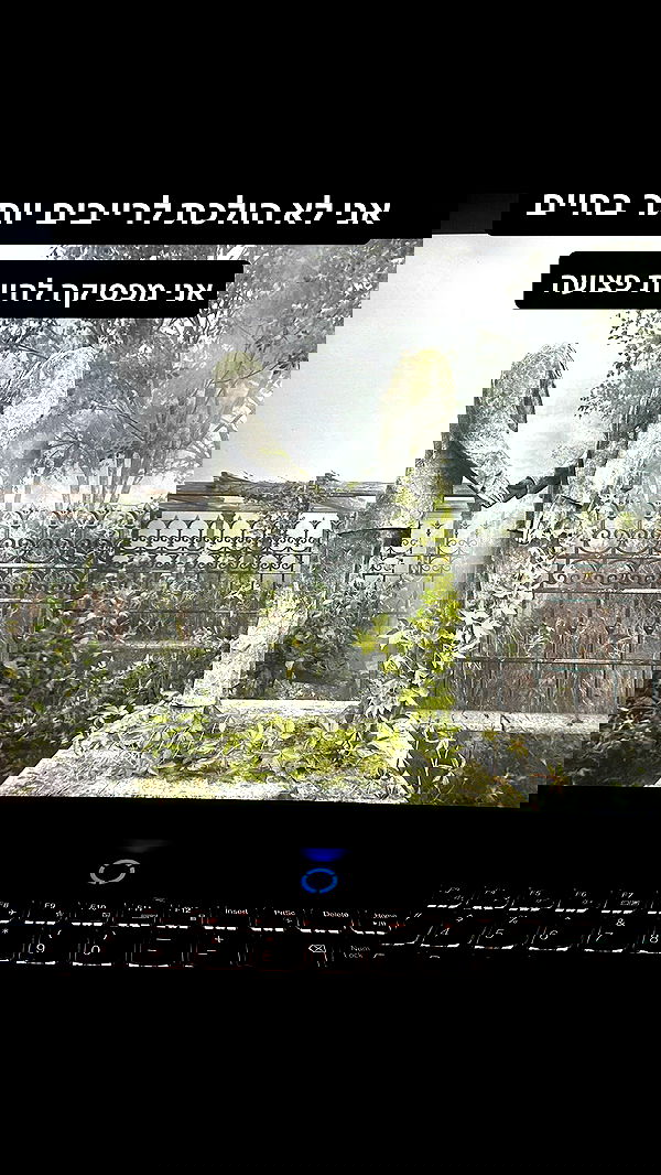 moonliliaght moonliliaght archive image