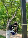 auddk_77 Altpins Profile Picture