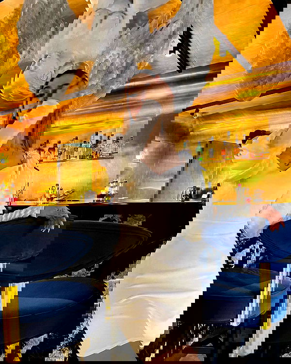 pinx_ir pinx_ir archive image