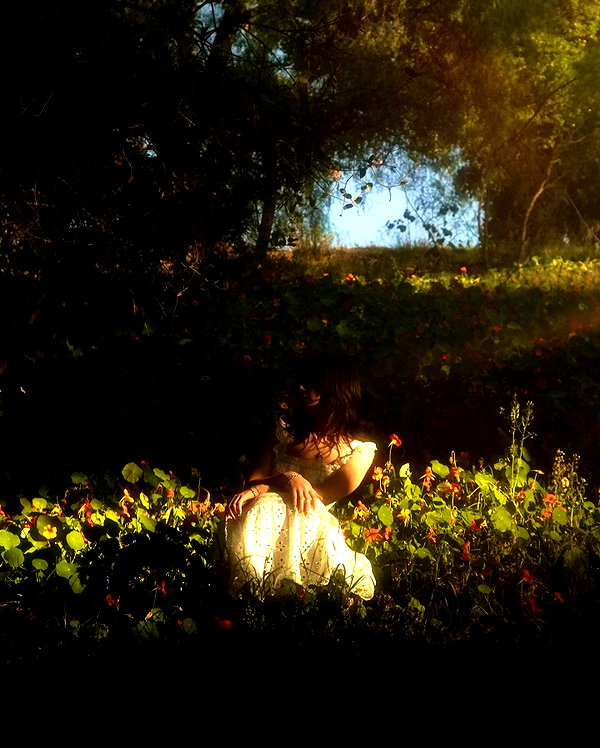 meimazing instagram image archive image