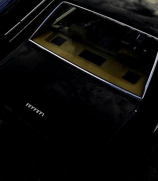 kelseydopegal instagram image archive image