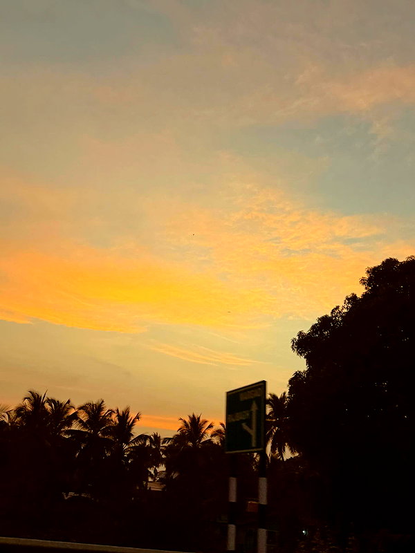 ronyida_ instagram image archive image