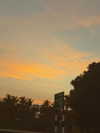 ronyida_ Altpins Profile Picture