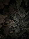 liya.barsky Altpins Profile Picture