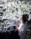 xier_cos Altpins Profile Picture