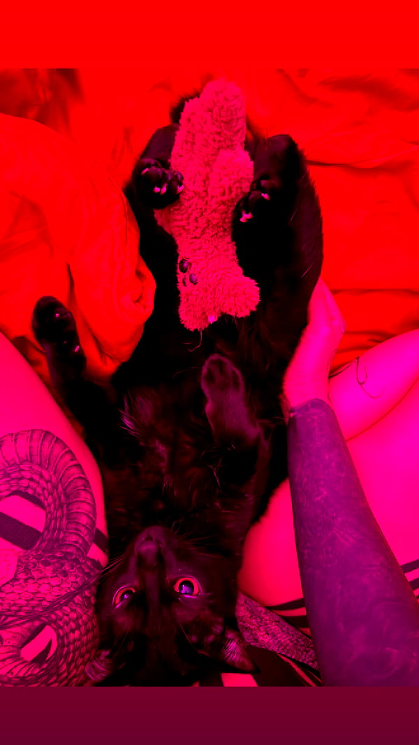 darkstar_mia instagram image archive image