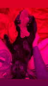 darkstar_mia Altpins Profile Picture