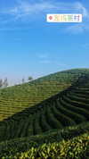 nikoleta.milenova Altpins Profile Picture