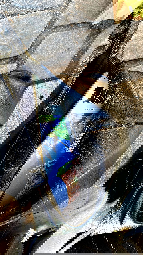 manjolamuriqi manjolamuriqi archive image