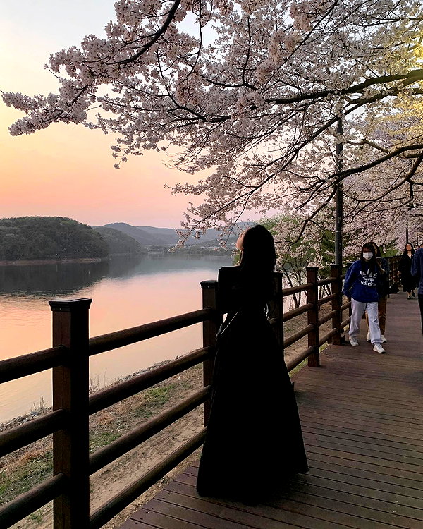 daxbin instagram image archive image