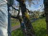 anesa.zm Altpins Profile Picture